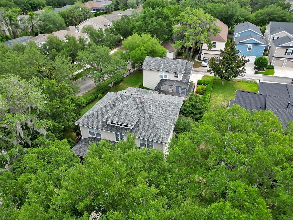 16033 Mulberrypark Circle Lithia FL 33547 L4961908 image83