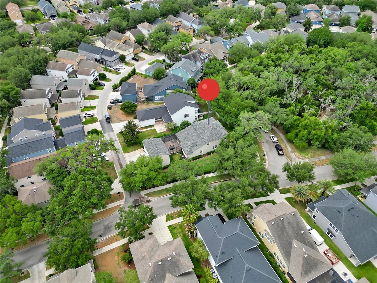 16033 Mulberrypark Circle Lithia FL 33547 L4961908 image85