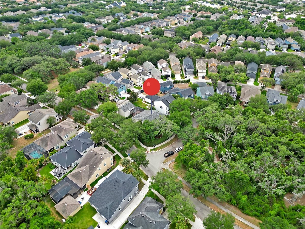 16033 Mulberrypark Circle Lithia FL 33547 L4961908 image86
