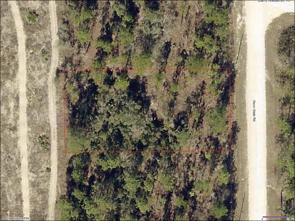 16033 Penn State Road Weeki Wachee FL 34614 W7865785 image1