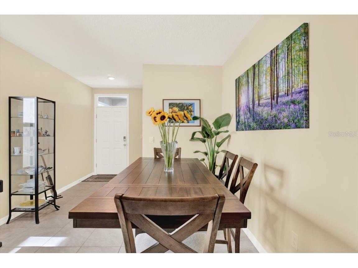 16034 Tuscany Hillside Road Odessa FL 33556 TB8430306 image12