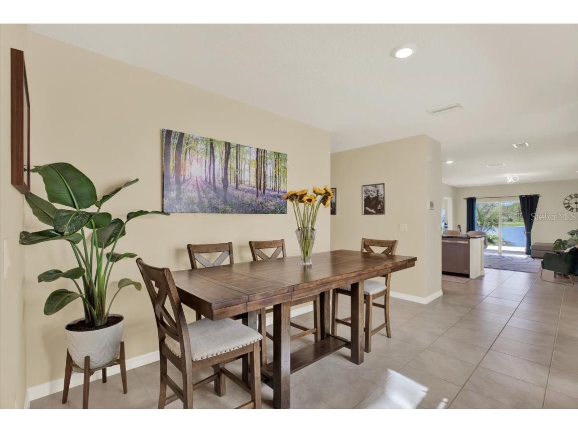 16034 Tuscany Hillside Road Odessa FL 33556 TB8430306 image13