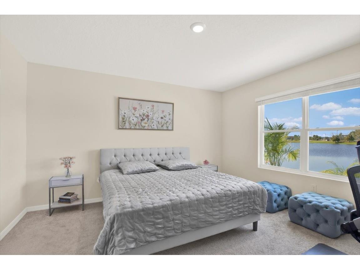 16034 Tuscany Hillside Road Odessa FL 33556 TB8430306 image16