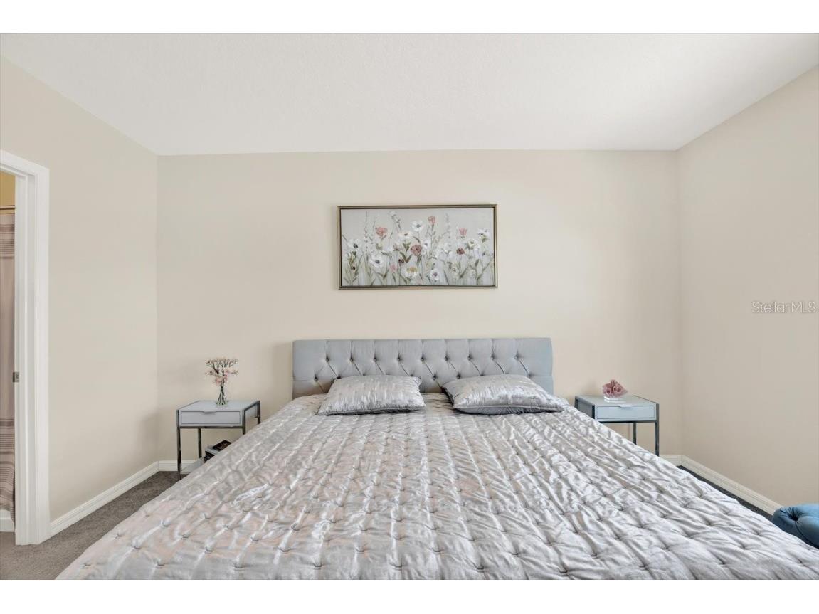 16034 Tuscany Hillside Road Odessa FL 33556 TB8430306 image17