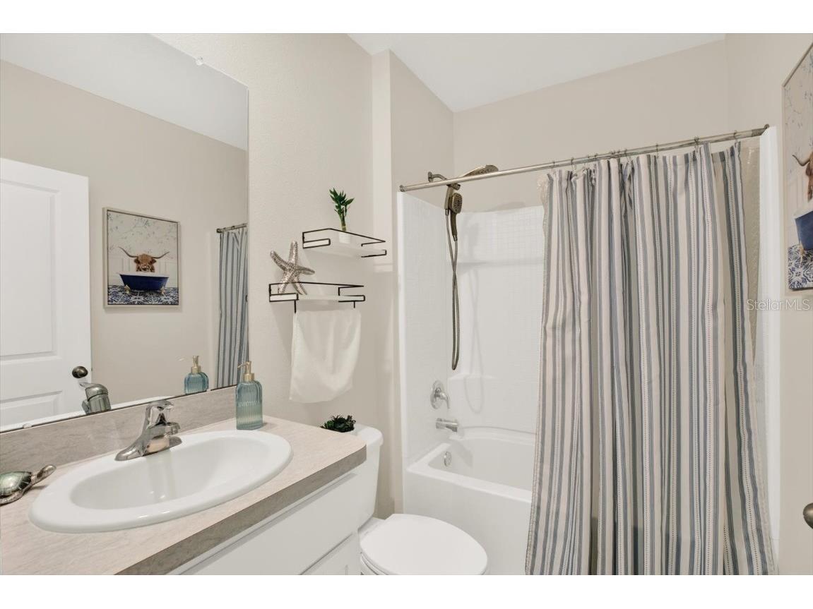 16034 Tuscany Hillside Road Odessa FL 33556 TB8430306 image19