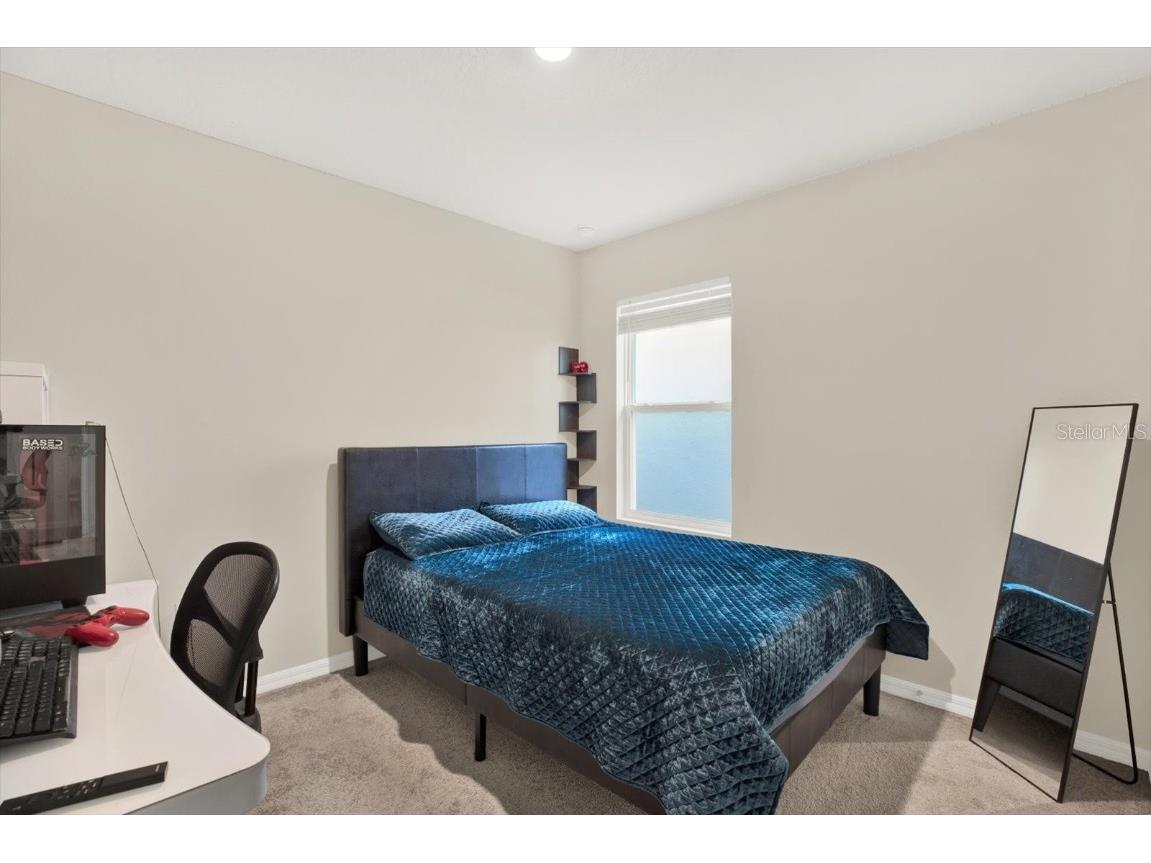 16034 Tuscany Hillside Road Odessa FL 33556 TB8430306 image20