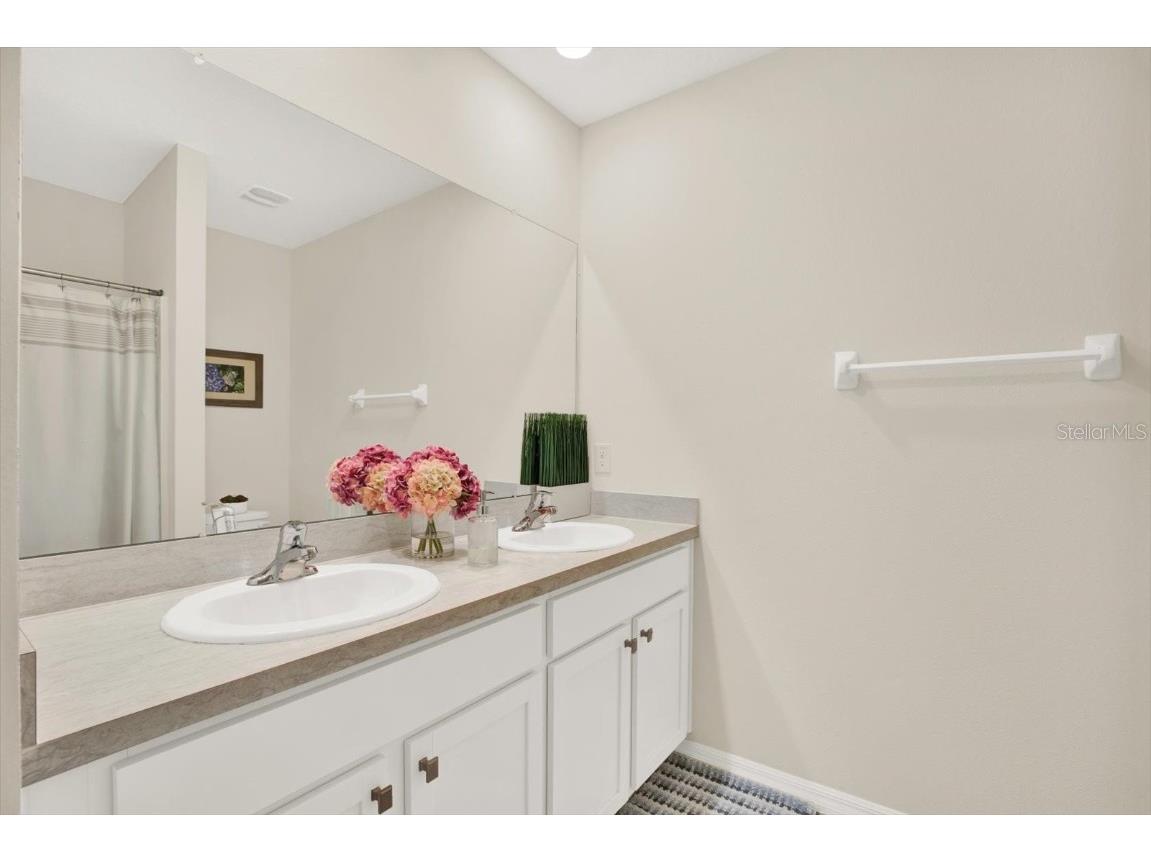 16034 Tuscany Hillside Road Odessa FL 33556 TB8430306 image22