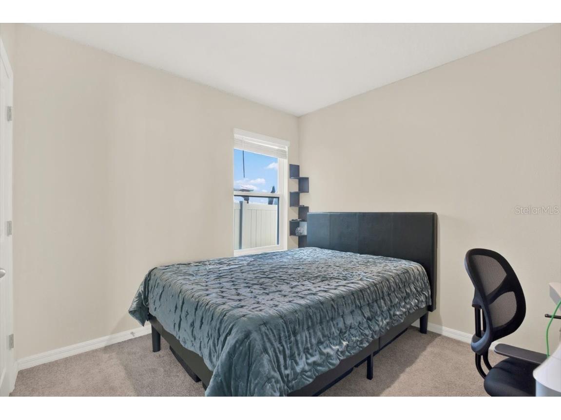 16034 Tuscany Hillside Road Odessa FL 33556 TB8430306 image23