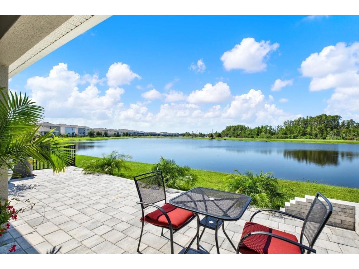 16034 Tuscany Hillside Road Odessa FL 33556 TB8430306 image3