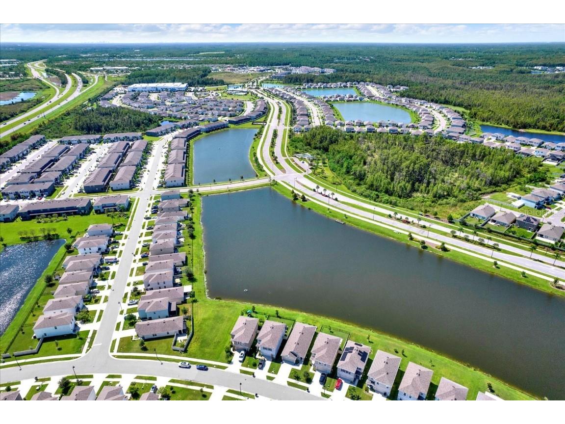 16034 Tuscany Hillside Road Odessa FL 33556 TB8430306 image39