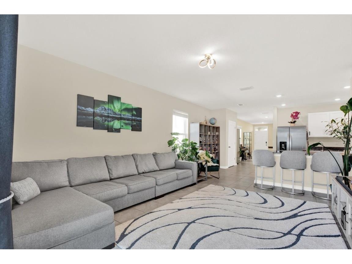 16034 Tuscany Hillside Road Odessa FL 33556 TB8430306 image4