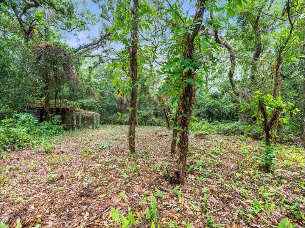 16035 Chastain Road Odessa FL 33556 TB8399971 image13