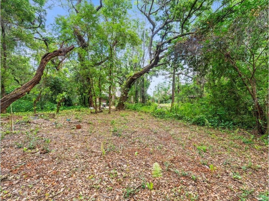 16035 Chastain Road Odessa FL 33556 TB8399971 image14