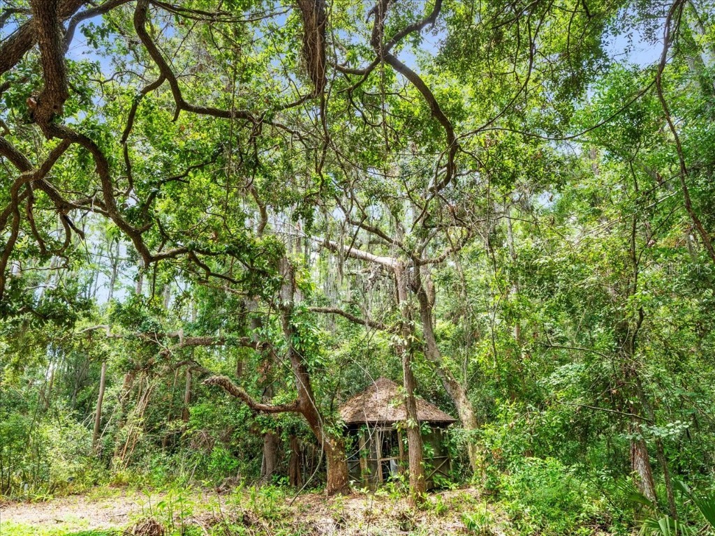 16035 Chastain Road Odessa FL 33556 TB8399971 image17