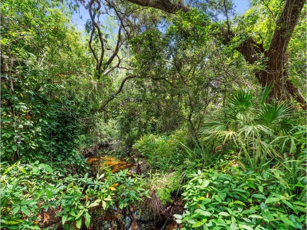 16035 Chastain Road Odessa FL 33556 TB8399971 image2