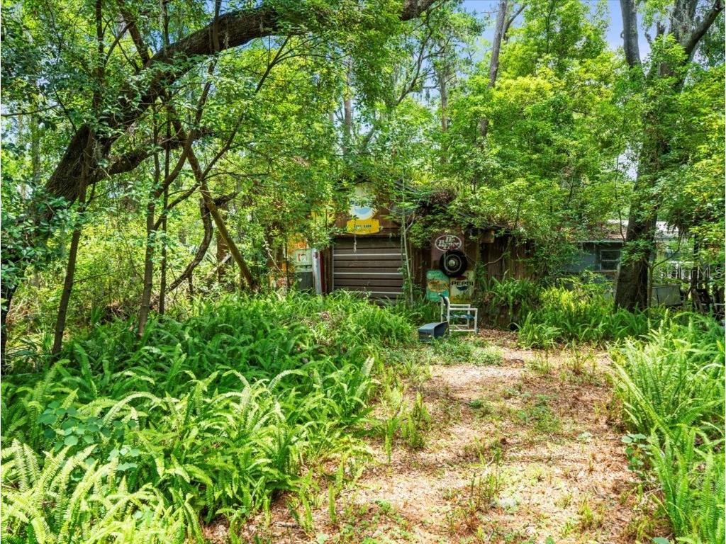 16035 Chastain Road Odessa FL 33556 TB8399971 image20