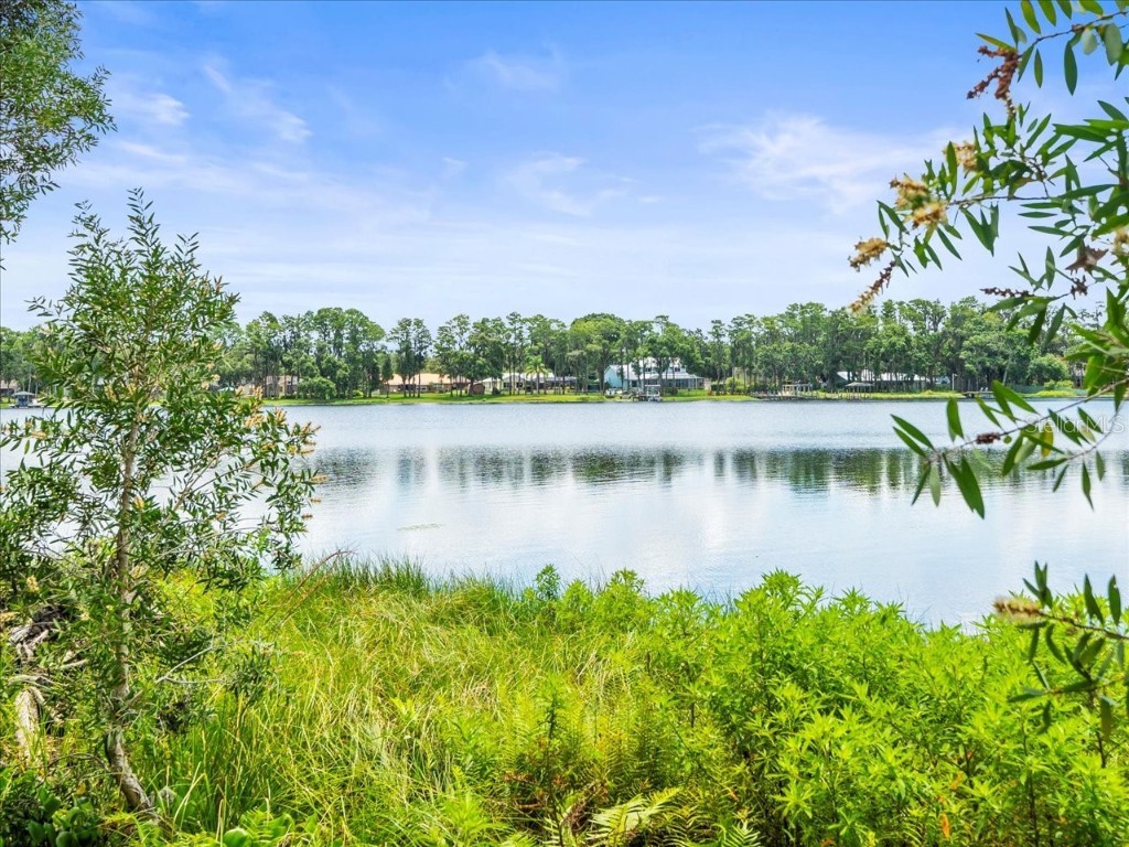 16035 Chastain Road Odessa FL 33556 TB8399971 image24