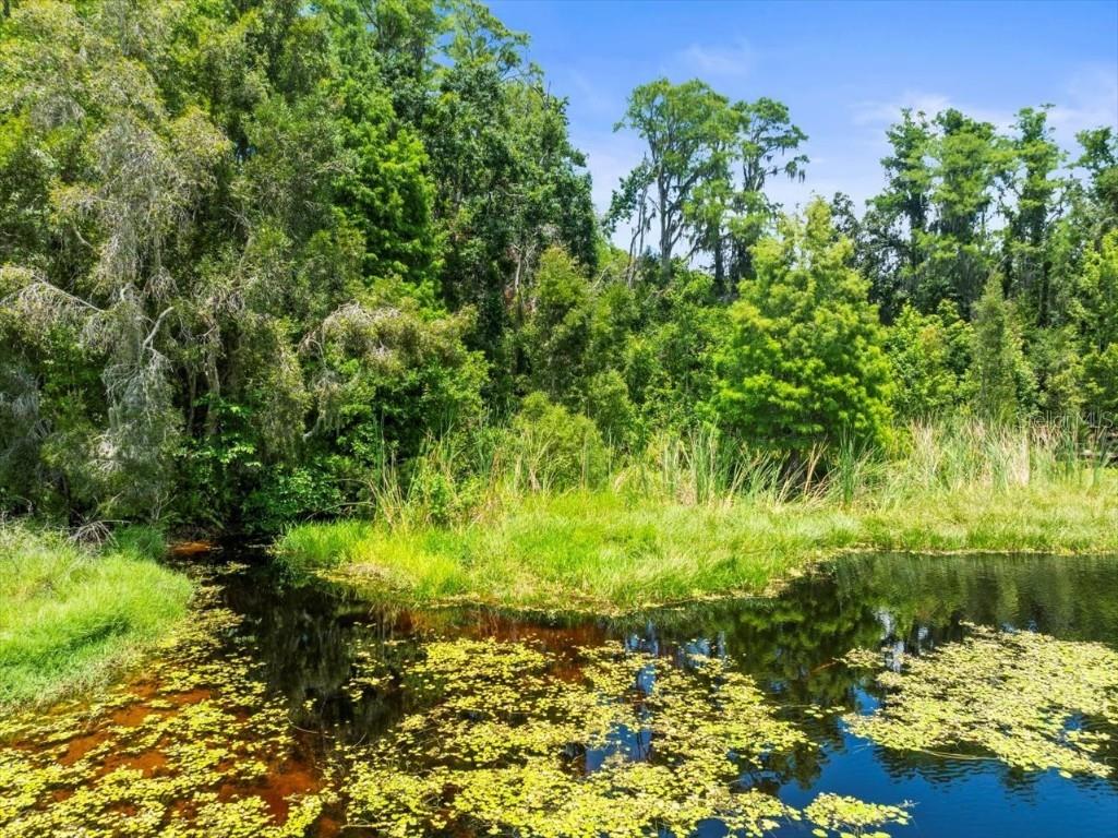 16035 Chastain Road Odessa FL 33556 TB8399971 image28