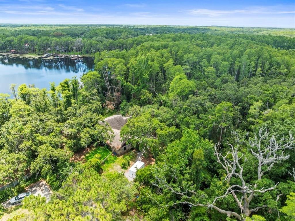 16035 Chastain Road Odessa FL 33556 TB8399971 image4