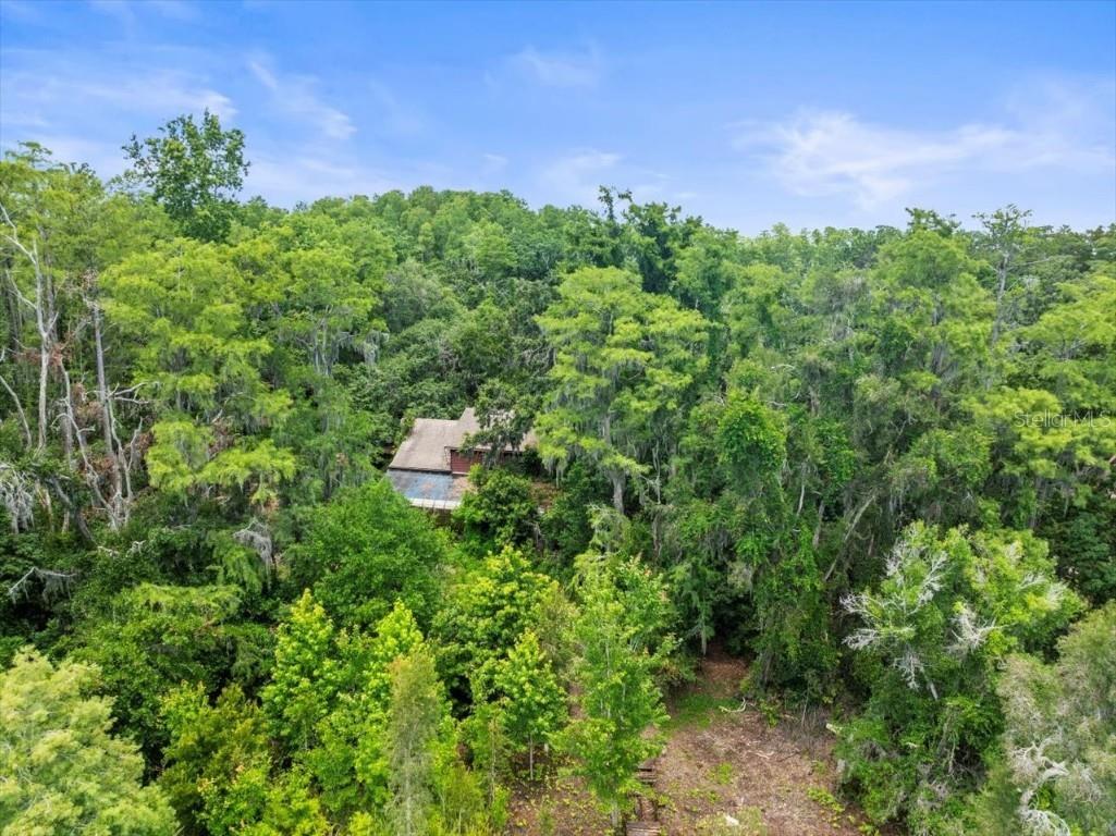 16035 Chastain Road Odessa FL 33556 TB8399971 image6