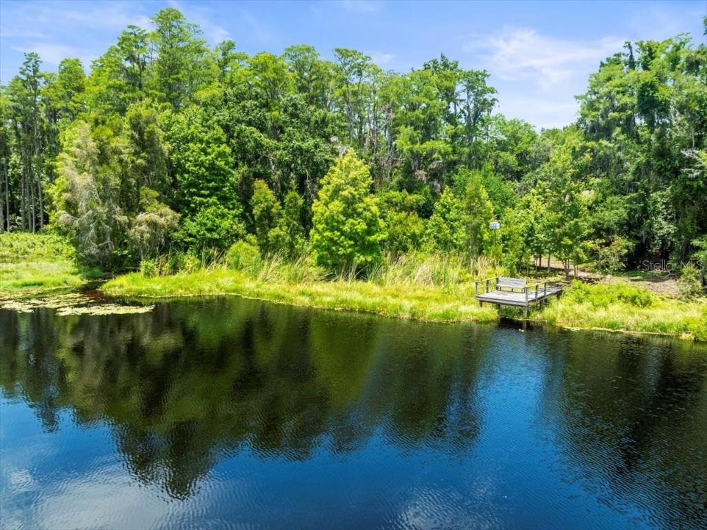 16035 Chastain Road Odessa FL 33556 TB8399971 image8