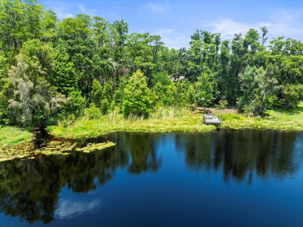 16035 Chastain Road Odessa FL 33556 TB8399971 image9