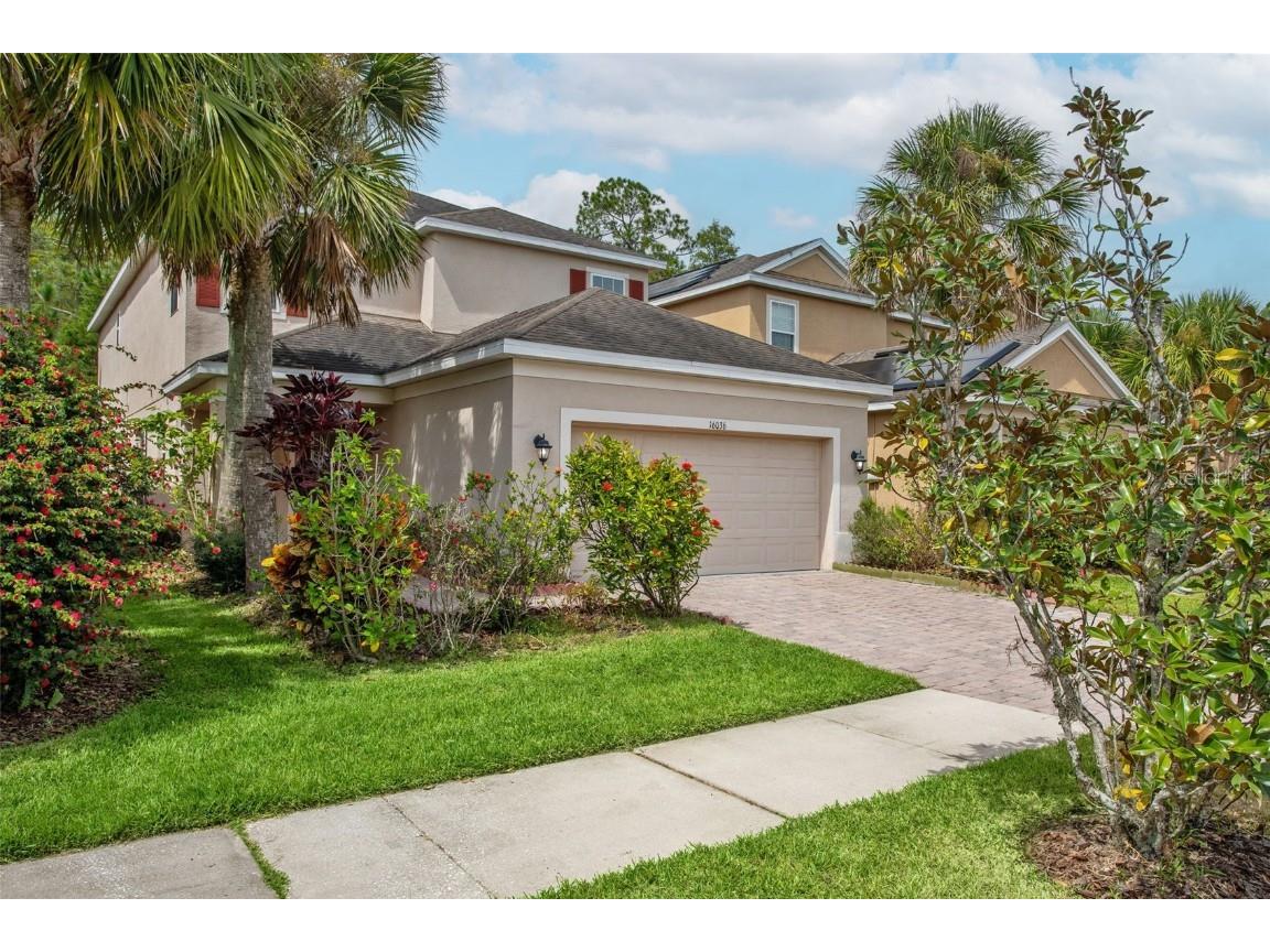 16036 Bella Woods Drive Tampa FL 33647 TB8429341 image2