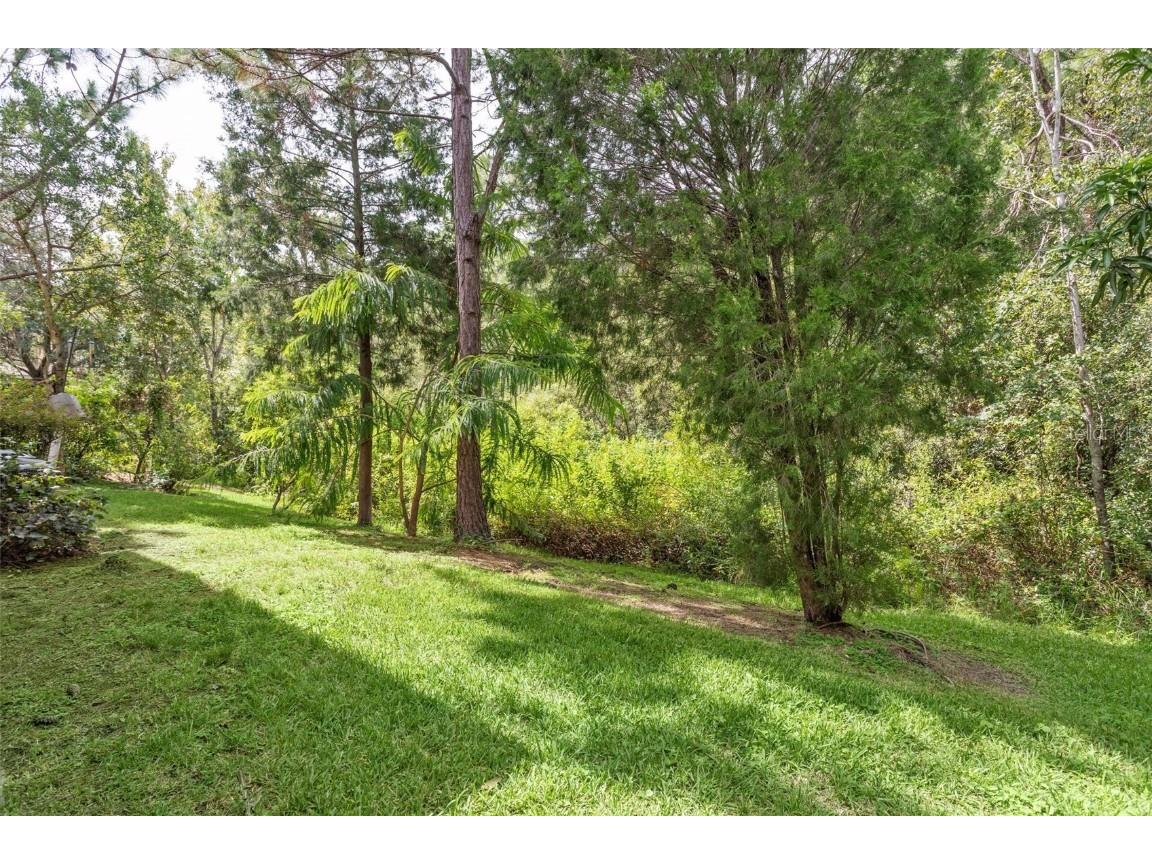 16036 Bella Woods Drive Tampa FL 33647 TB8429341 image25