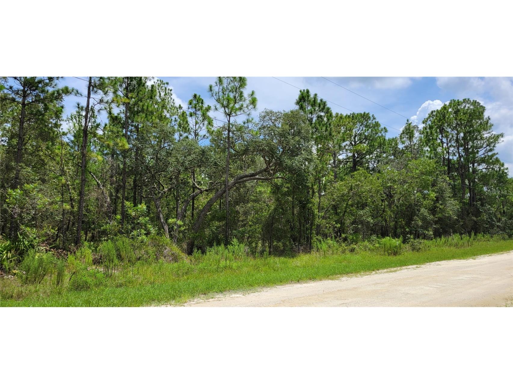 16036 Marsh Quail Road Weeki Wachee FL 34614 T3461730 image1