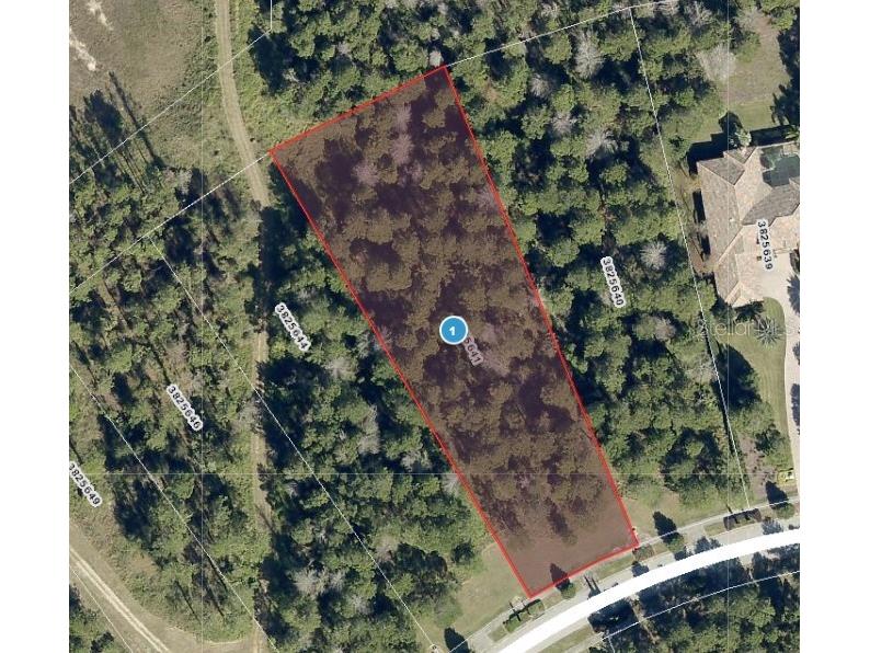 16036 Pendio Drive Montverde FL 34756 - LAKE SIENA G5073974 image1