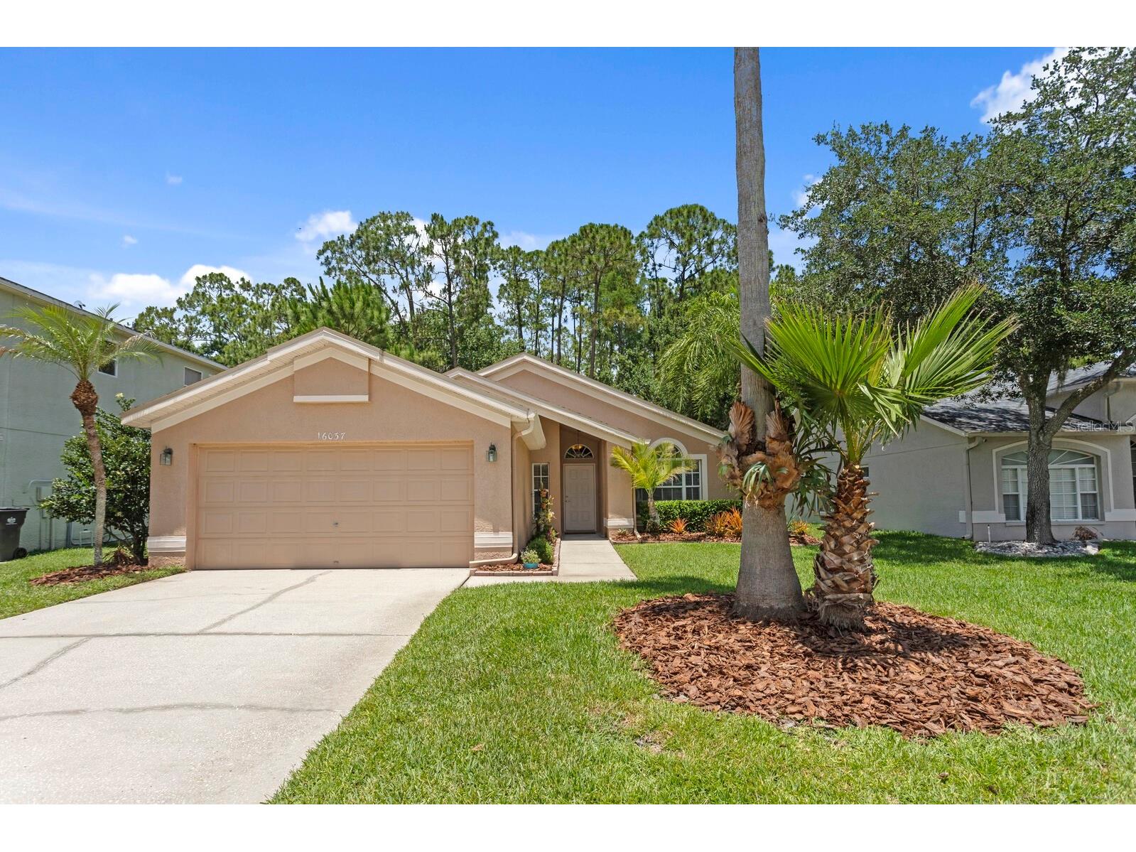 16037 Shinnecock Drive Odessa FL 33556 TB8510299 image1