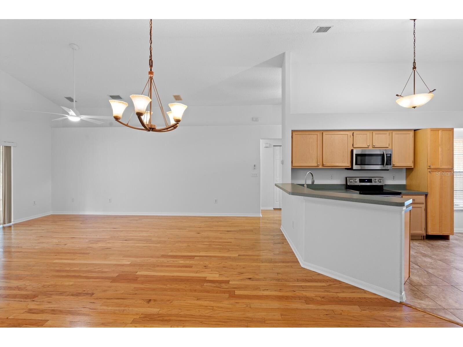 16037 Shinnecock Drive Odessa FL 33556 TB8510299 image11