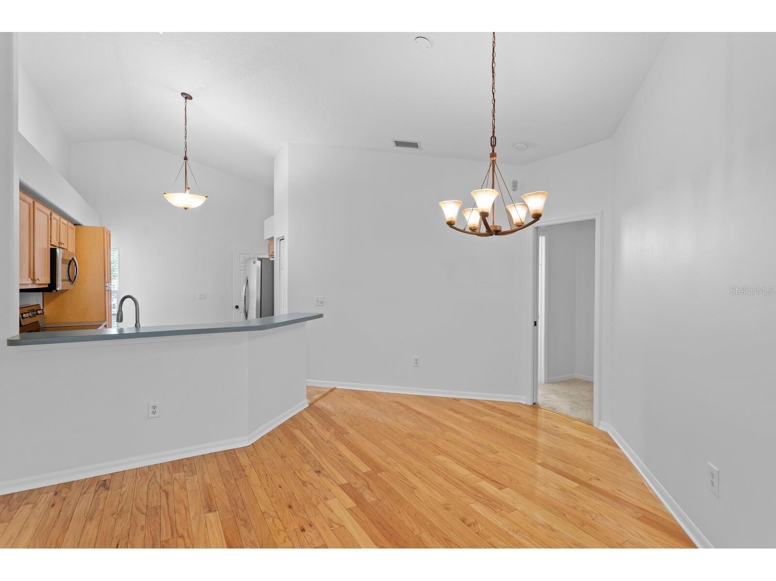 16037 Shinnecock Drive Odessa FL 33556 TB8510299 image12