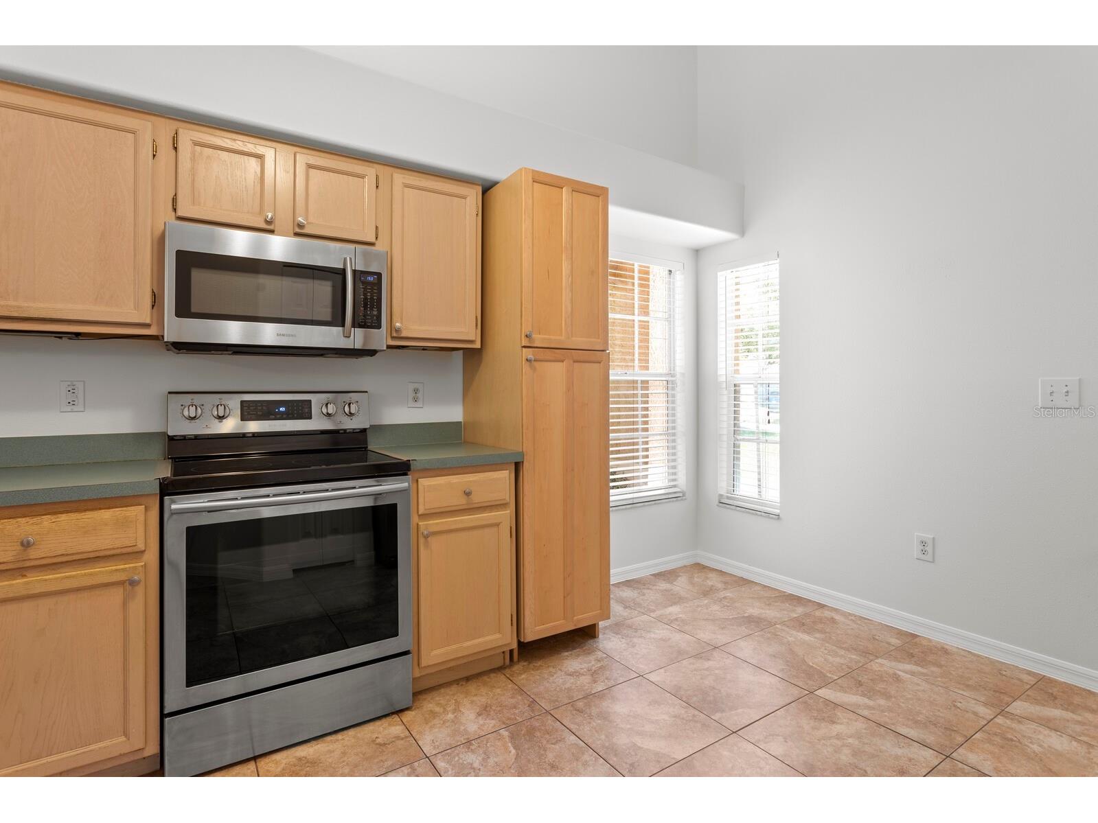 16037 Shinnecock Drive Odessa FL 33556 TB8510299 image15