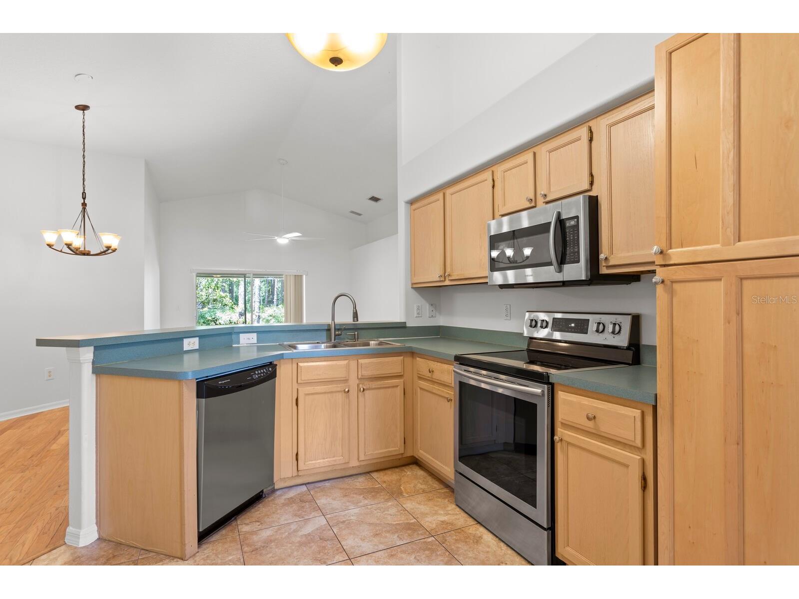 16037 Shinnecock Drive Odessa FL 33556 TB8510299 image3