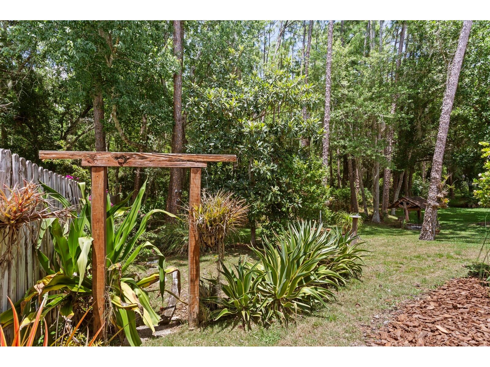 16037 Shinnecock Drive Odessa FL 33556 TB8510299 image31