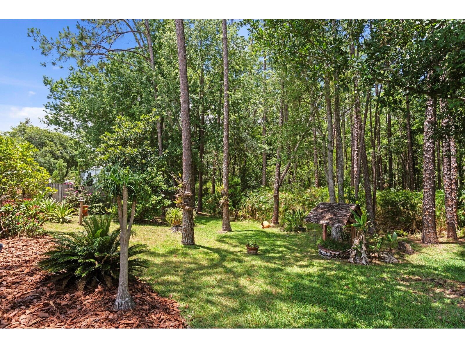 16037 Shinnecock Drive Odessa FL 33556 TB8510299 image32