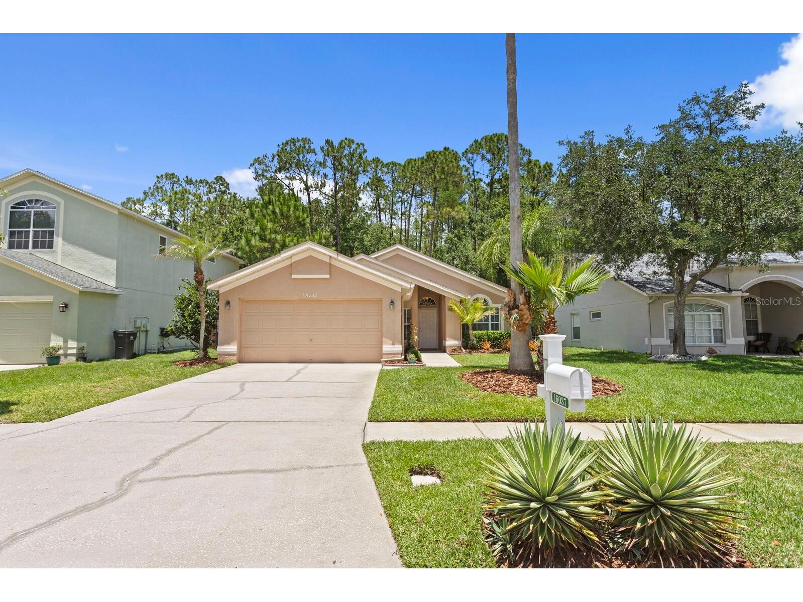 16037 Shinnecock Drive Odessa FL 33556 TB8510299 image37