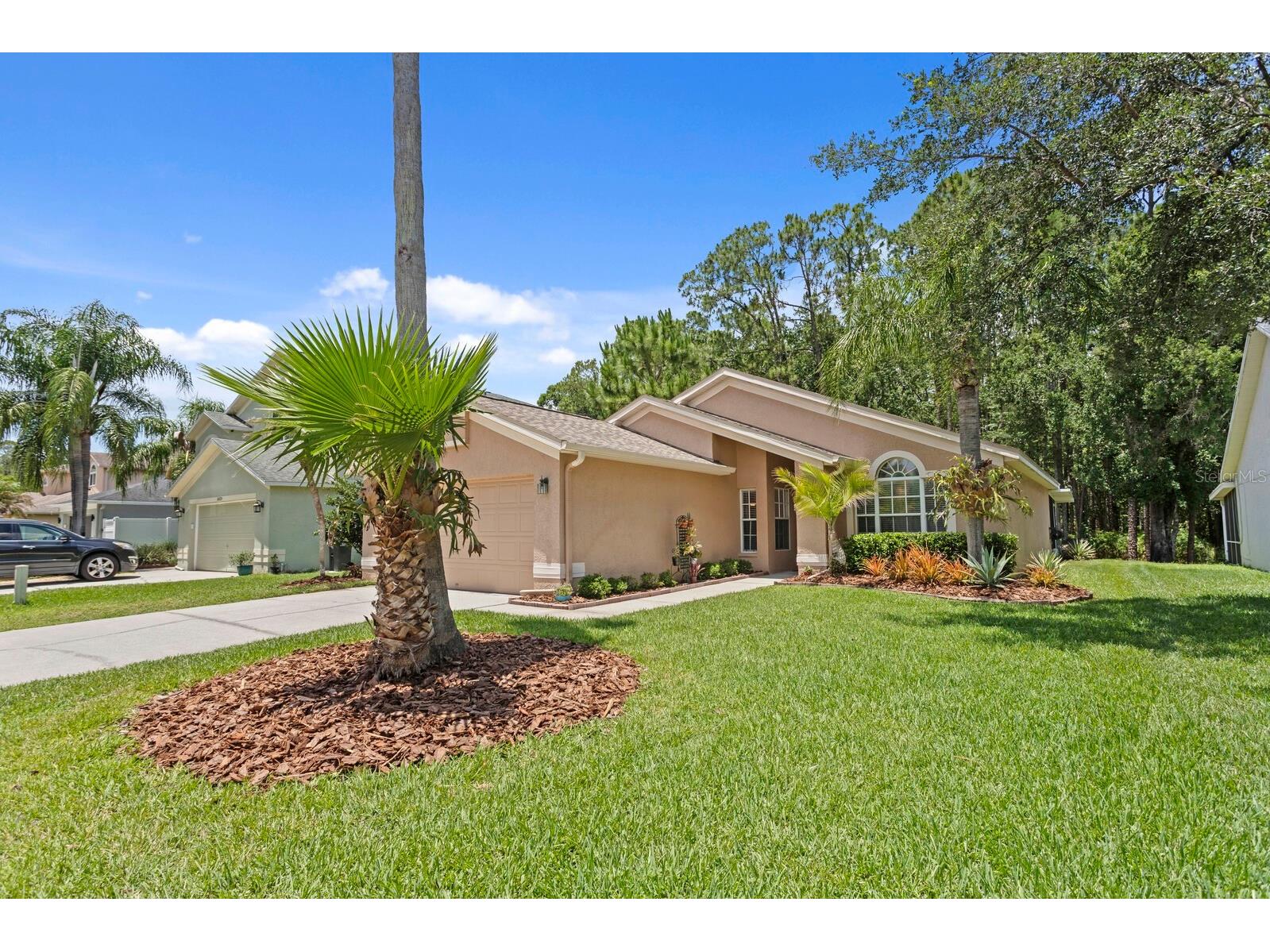 16037 Shinnecock Drive Odessa FL 33556 TB8510299 image38