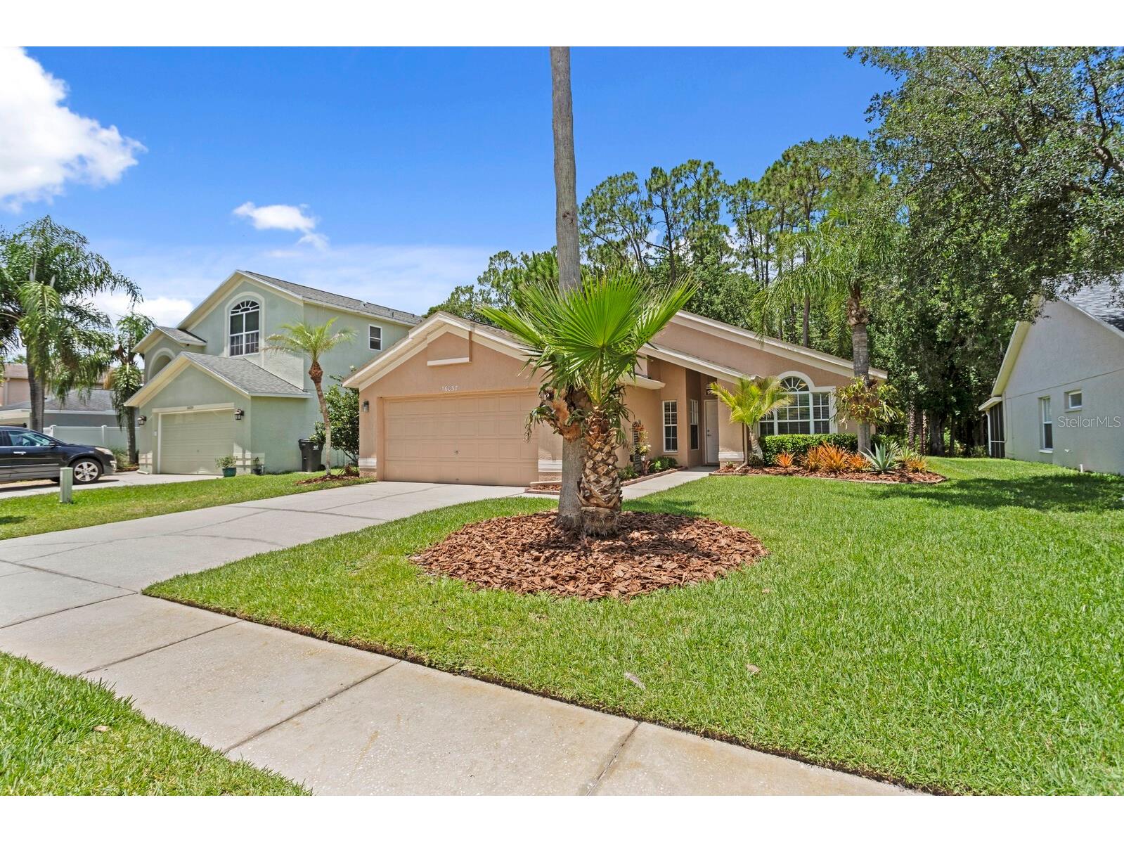 16037 Shinnecock Drive Odessa FL 33556 TB8510299 image39