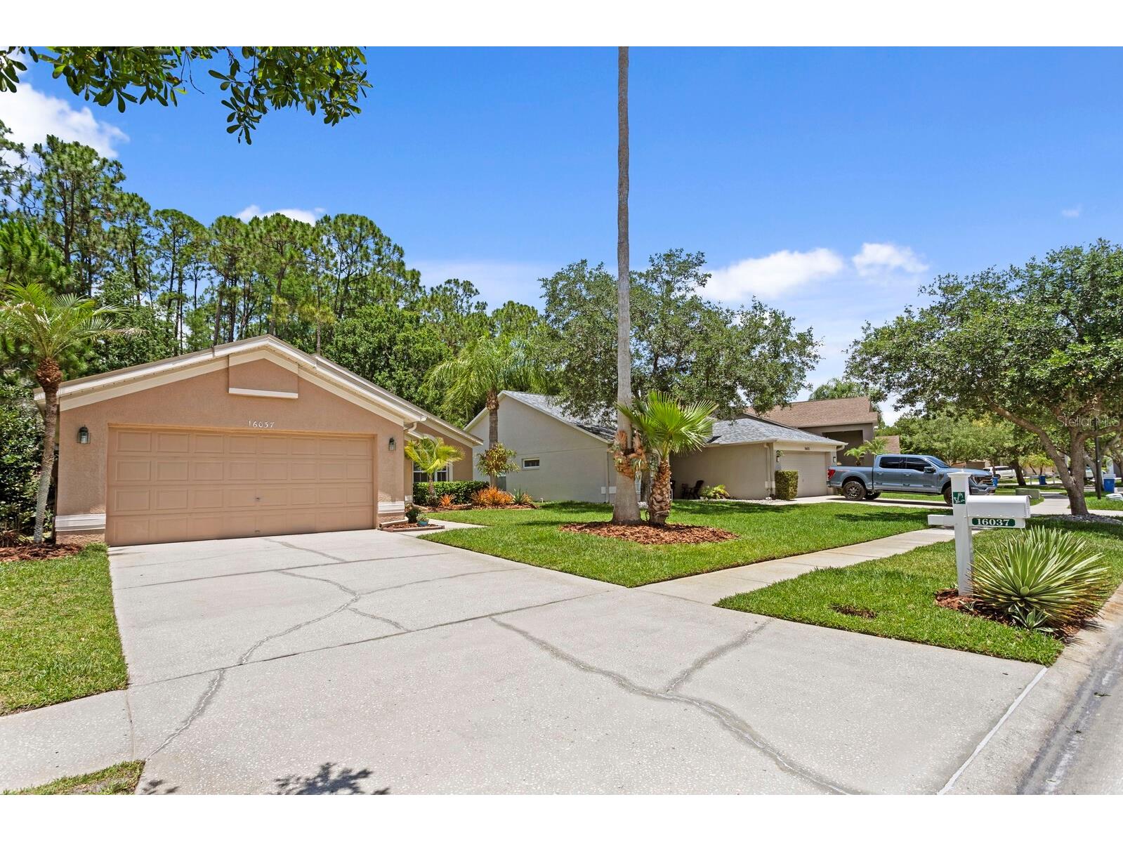 16037 Shinnecock Drive Odessa FL 33556 TB8510299 image40