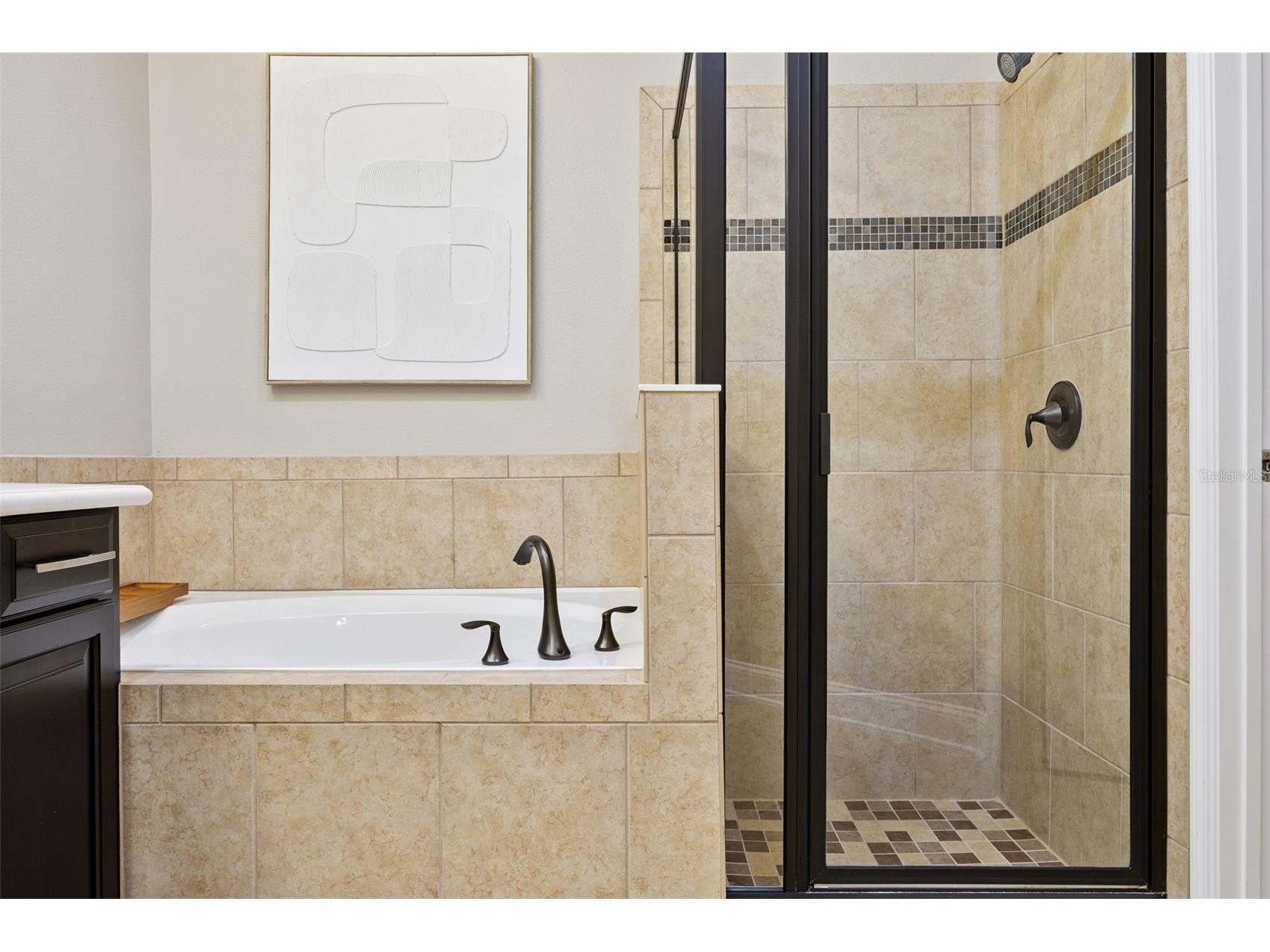 16038 Johns Lake Overlook Drive Winter Garden FL 34787 - JOHNS LAKE BLACK LAKE AND LAKE TILDEN G5107162 image44