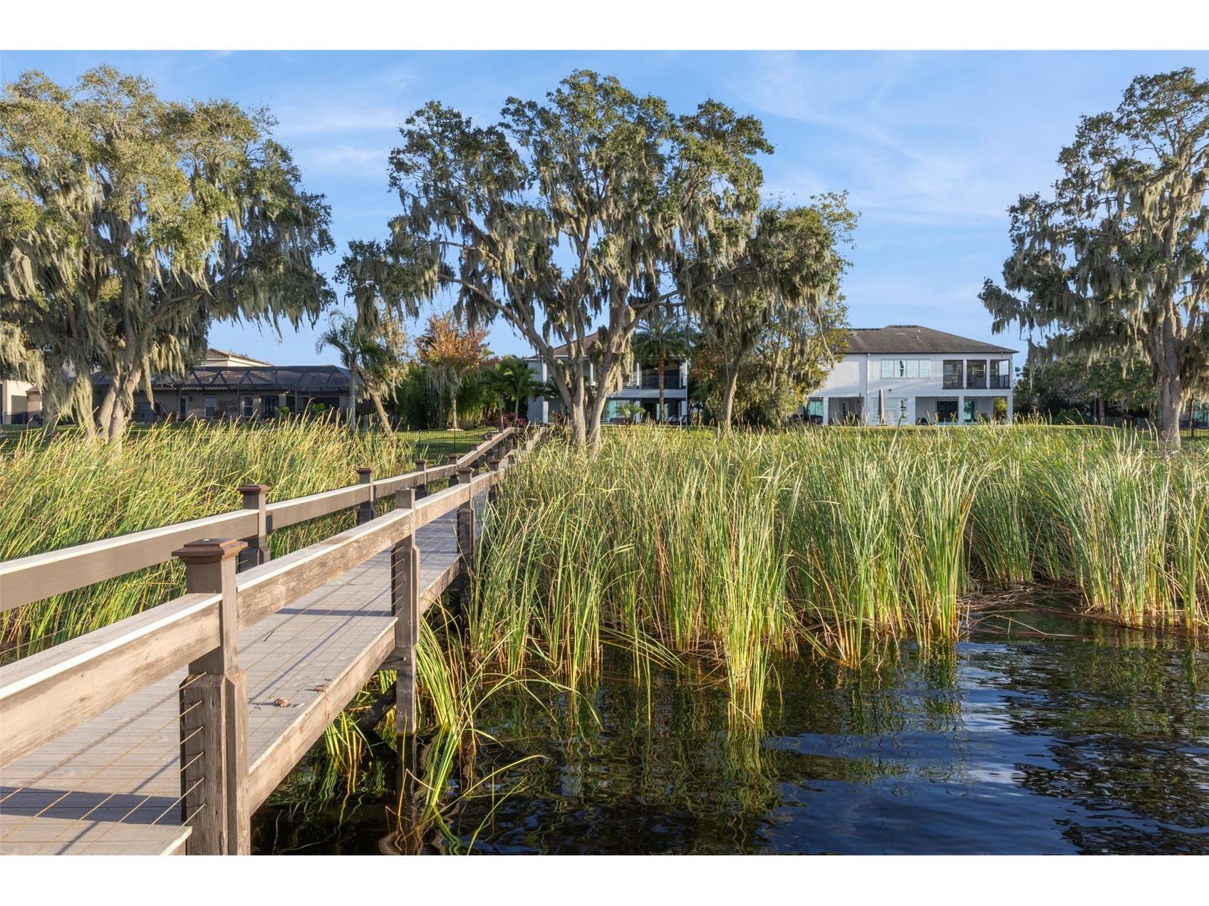 16038 Johns Lake Overlook Drive Winter Garden FL 34787 - JOHNS LAKE BLACK LAKE AND LAKE TILDEN G5107162 image64