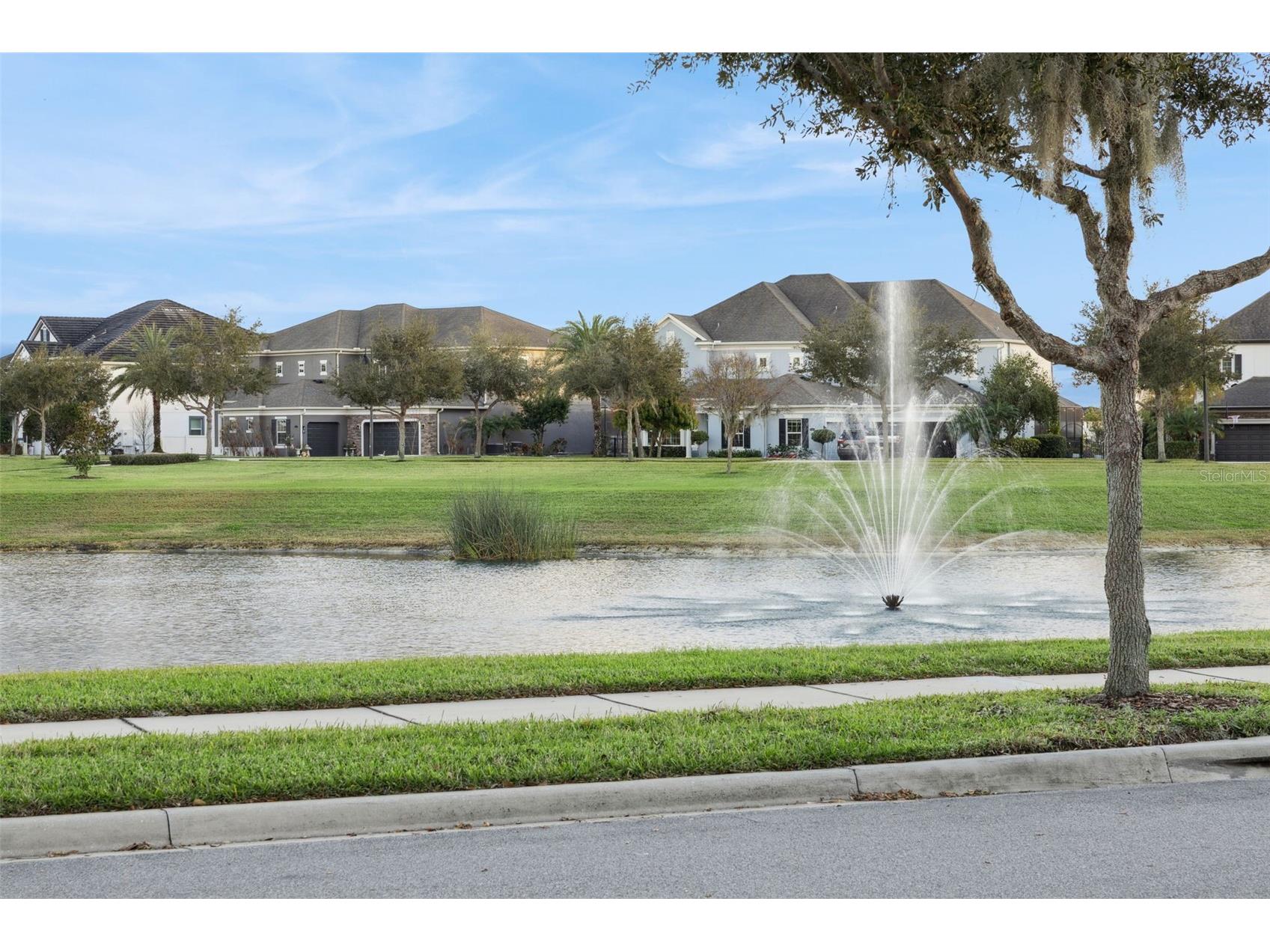 16038 Johns Lake Overlook Drive Winter Garden FL 34787 - JOHNS LAKE BLACK LAKE AND LAKE TILDEN G5107162 image69