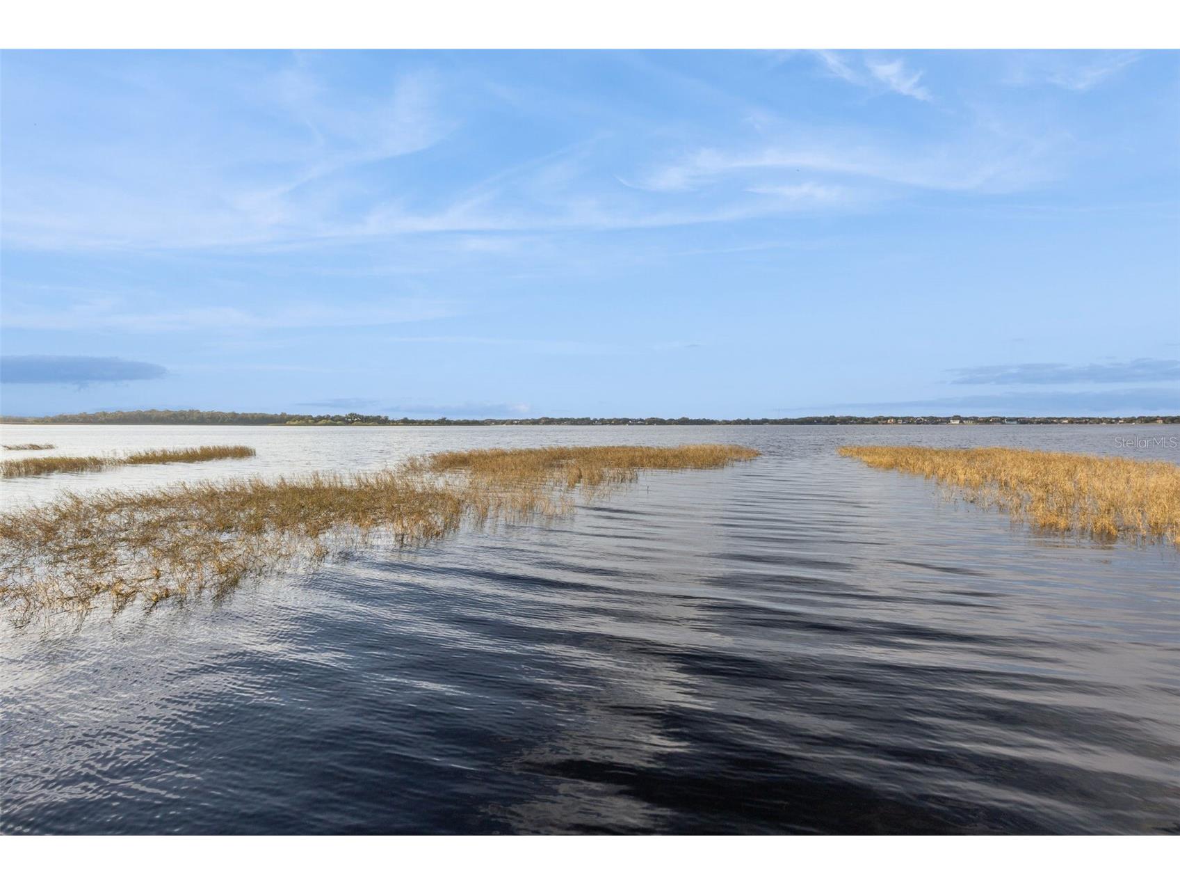 16038 Johns Lake Overlook Drive Winter Garden FL 34787 - JOHNS LAKE BLACK LAKE AND LAKE TILDEN G5107162 image70