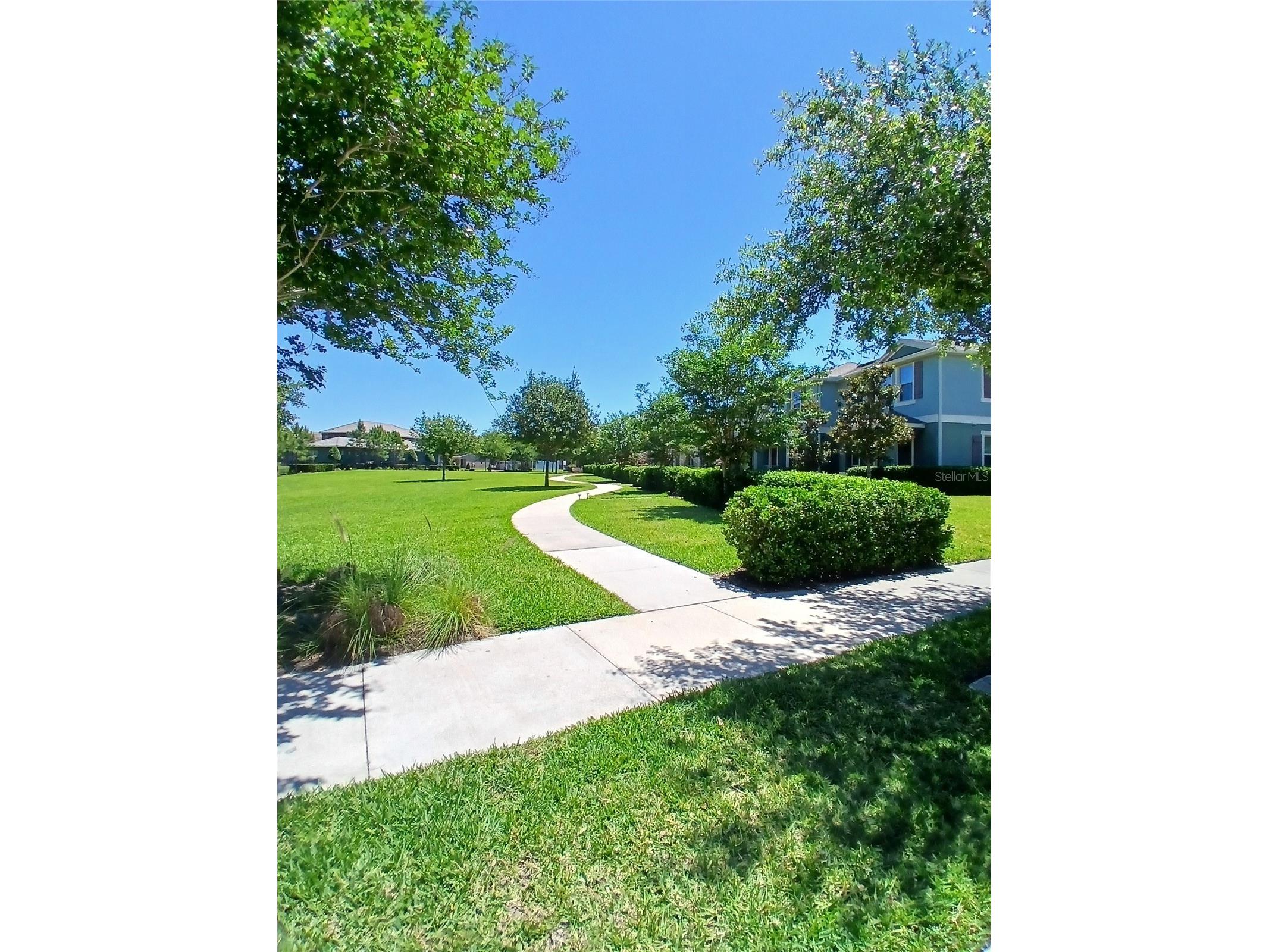 16039 Juniper Inlet Alley Winter Garden FL 34787 O6408214 image20