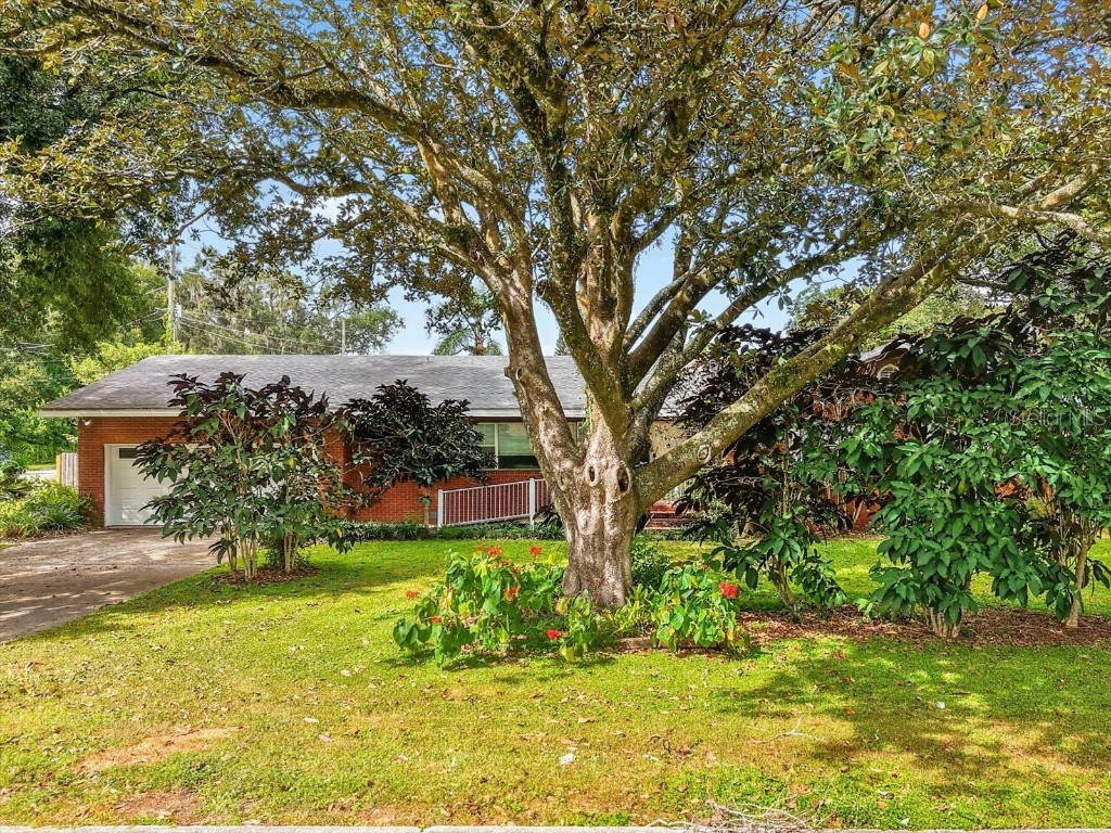 1604 Caldwell Street Lakeland FL 33803 TB8435930 image3