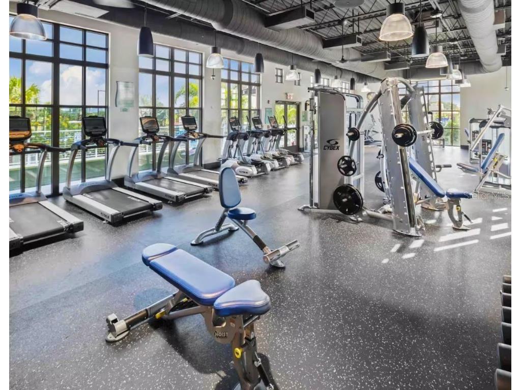 1604 Carey Palm Circle Kissimmee FL 34747 O6352447 image40