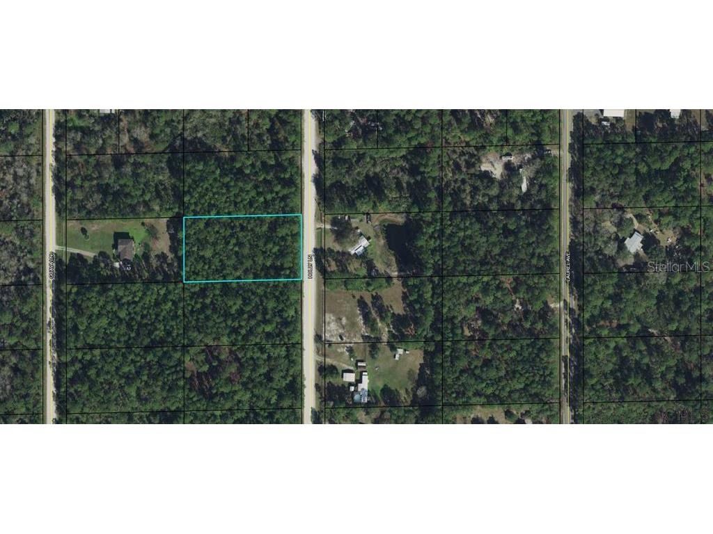 1604 Holly Lane Bunnell FL 32110 FC274439 image2