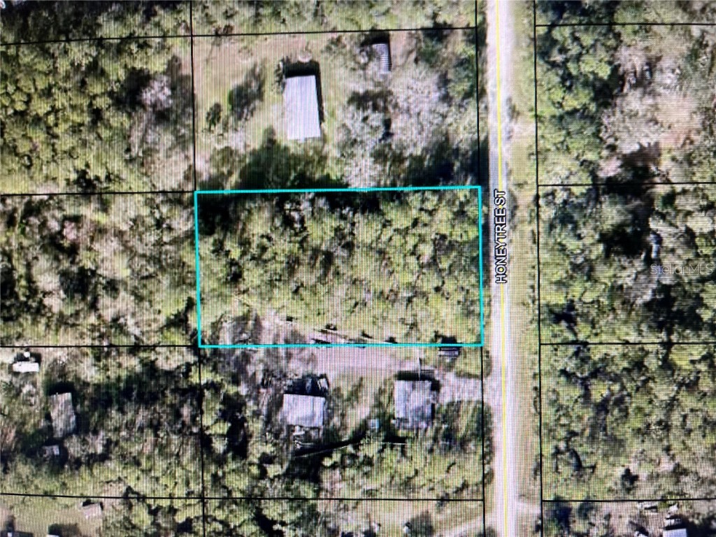 1604 Honeytree Street Bunnell FL 32110 FC303241 image1